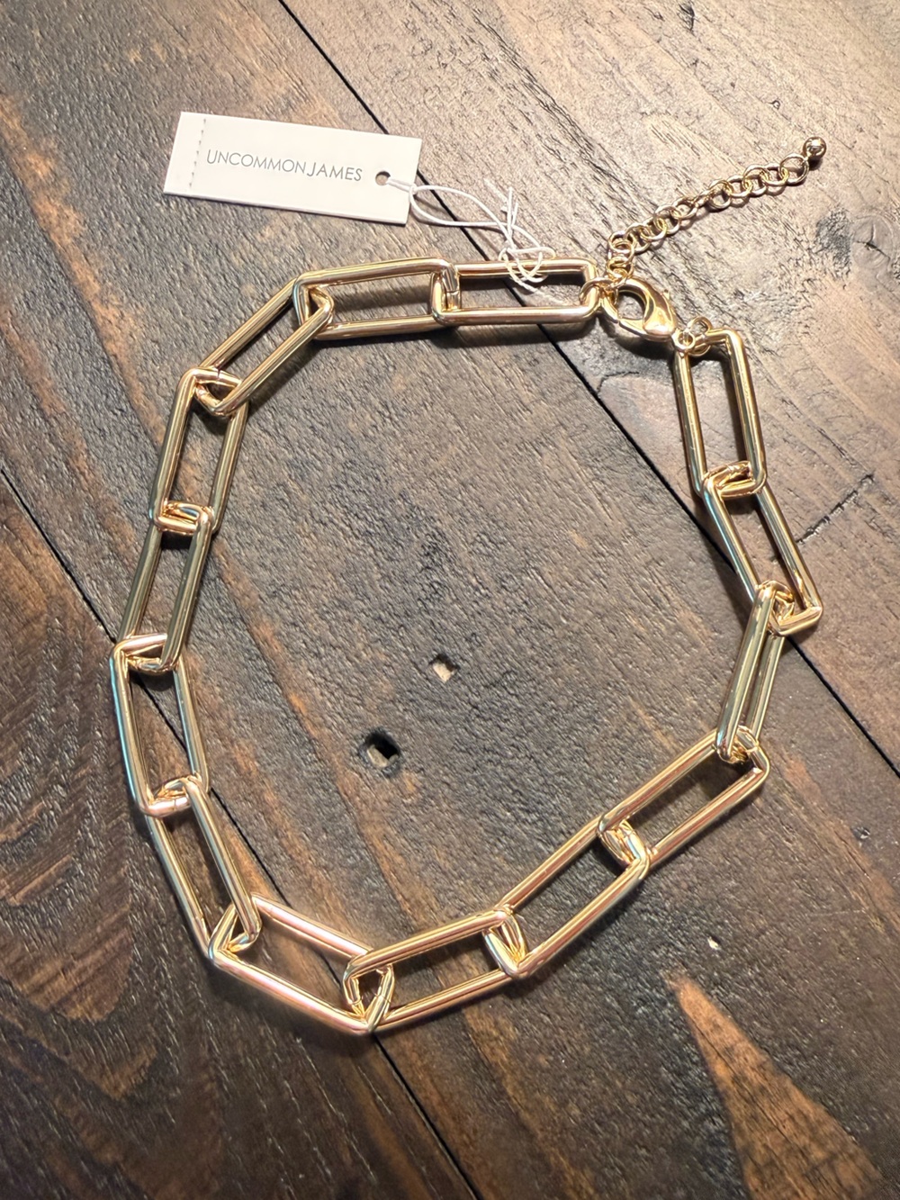NWT Uncommon James Large Link Gold Choker Necklace